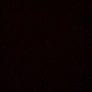 Meet your Posher, Paige